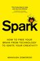 Manoush Zomorodi: Spark, Buch
