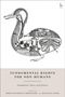 Fundamental Rights for Non-Humans, Buch