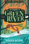 Holly Webb: The Story of Greenriver, Buch