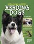 Tammy Gagne: Collies, Corgies, and Other Herding Dogs, Buch