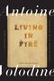 Text: "Living in Fire", "a Post-Exotic Novel", "A Univocal Book". Eine stilvolle Buchabdeckung in Flammenmotiven., Buch