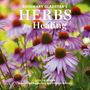 Rosemary Gladstar: Rosemary Gladstar's Herbs for Healing Wall Calendar 2025, KAL