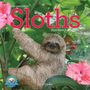 Text: "THE ORIGINAL SLOTHS 2026 MINI CALENDAR Lucy Cooke." Relaxed Faultier an einem Ast mit rosa Blüten.