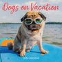 Workman Publishing: Dogs on Vacation Wall Calendar 2026, KAL