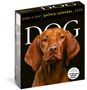 Workman Calendars: Dog Page-A-Day(r) Gallery Calendar 2026, KAL