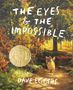 Dave Eggers: The Eyes and the Impossible, Buch