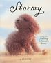 Guojing: Stormy, Buch