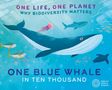 Sarah Ridley: One Life, One Planet: One Blue Whale in Ten Thousand, Buch