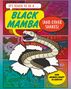 John Townsend: It's Tough to Be: A Black Mamba (and Other Snakes), Buch