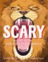 Laura Mucha: Scary, Buch