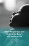 Andrew Mcfarlane: Child Protection and the Family Court, Buch