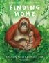Mike Unwin: Finding Home, Buch