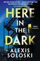 Alexis Soloski: Here in the Dark, Buch