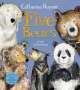 Catherine Rayner: Five Bears, Buch