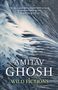 Amitav Ghosh: Wild Fictions, Buch