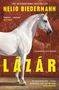 Titel: LÁZÁR, Autor: NELIO BIEDERMANN. Ein weißes Pferd vor rotem, dekorativem Hintergrund., Buch