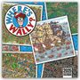 Carousel Calendars: Where's Square Wally Square Wall Calendar 2025, Buch