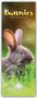 Carousel Calendar: Bunnies - Hasen - Kaninchen 2026 - Slimline-Kalender, KAL