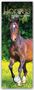 Carousel Calendar: Horses - Pferde 2026 - Slimline-Kalender, KAL