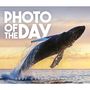 Carousel Calendars: Photo of the Day - Foto des Tages 2027, Kalender, Kalender
