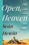 „Open, Heaven“ von Seán Hewitt. Unter blauem Himmel sitzt eine Person auf einem Feld. Vögel fliegen im Hintergrund.