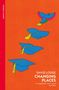 „David Lodge: Changing Places“; „Vintage Classics“. Ein Vogel verwandelt sich in Absolventenhüte auf orangem Hintergrund., Buch