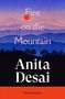 Anita Desai: Fire On The Mountain, Buch