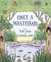 Diane Muldrow: Once a Wasteland, Buch