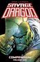 „Savage Dragon Compendium Volume One“. Grüner, muskulöser Mann mit Finne, grimmigem Gesichtsausdruck, kämpferische Pose., Buch