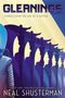 Neal Shusterman: Gleanings, Buch