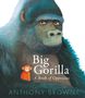 Anthony Browne: Big Gorilla: A Book of Opposites, Buch
