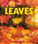 Brenna Maloney: Leaves (Learn About: Fall), Buch