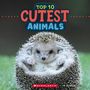 Brenna Maloney: Top 10 Cutest Animals (Wild World), Buch