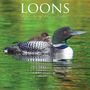 Willow Creek Press: Loons 2022 Wall Calendar, KAL