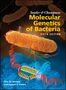 Tina M. Henkin: Snyder and Champness Molecular Genetics of Bacteria, Buch
