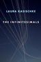 Laura Kasischke: The Infinitesimals, Buch