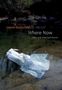 Laura Kasischke: Where Now: New and Selected Poems, Buch