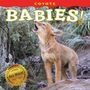 Farcountry Press: Coyote Babies!, Buch