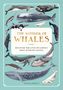 Melissa Hobson: The Wonder of Whales, Buch