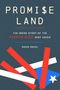 "PROMISE LAND: The Inside Story of the Puerto Rico Debt Crisis" von David Skeel. Gestaltung mit Flaggen-Elementen., Buch