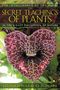 Stephen Harrod Buhner: The Secret Teachings of Plants, Buch, Buch