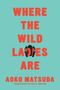 Aoko Matsuda: Where the Wild Ladies Are, Buch