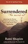 Rami Shapiro: Surrendered-The Sacred Art, Buch