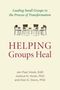 Jan Paul Hook: Helping Groups Heal, Buch