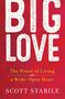Scott Stabile: Big Love, Buch