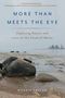 Margie Patlak: More Than Meets the Eye, Buch