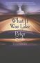 Peter Seth: What It Was Like, Buch