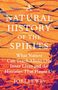Titel: "A Natural History of the Spirits". Untertitel: "What Nature Can Teach About Our Inner Lives and the Histories That Haunt Us". Name: Jori Lewis. Hintergrund: Abstrakte Sanddünenillustration mit lila Schatten., Buch