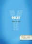 Youcat Foundation: Docat, Buch