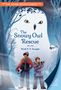 Heidi E Y Stemple: The Avian Adventurers #1: Snowy Owl Rescue, Buch